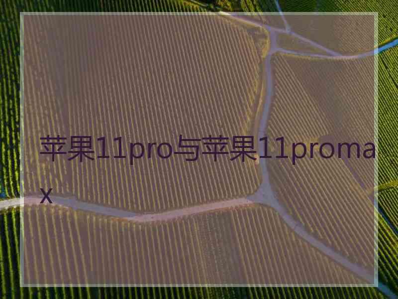 苹果11pro与苹果11promax