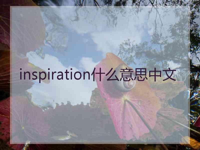 inspiration什么意思中文