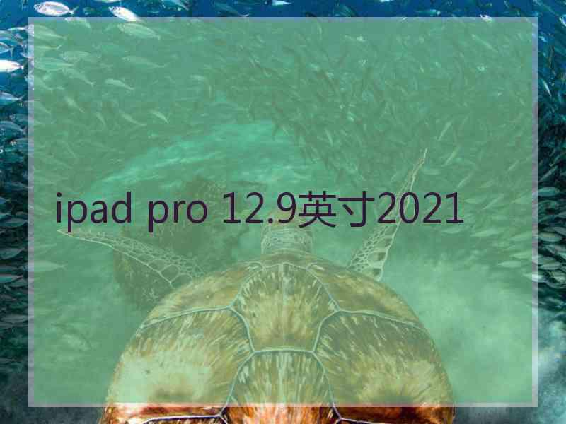 ipad pro 12.9英寸2021