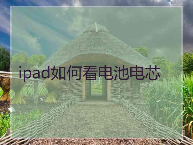 ipad如何看电池电芯