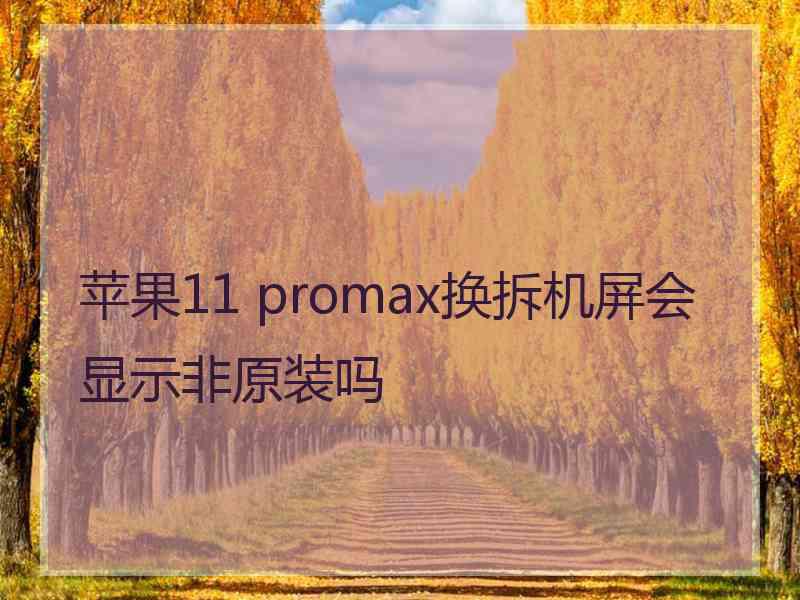 苹果11 promax换拆机屏会显示非原装吗