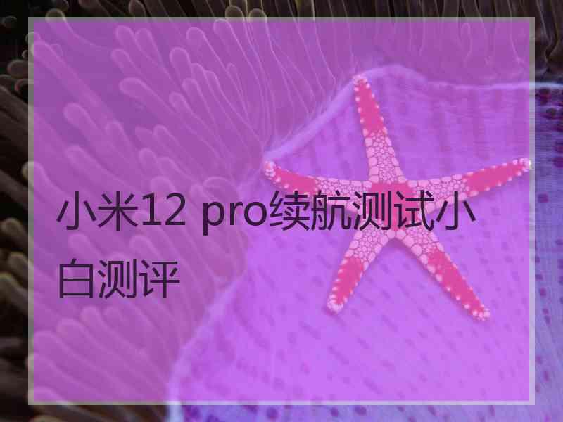 小米12 pro续航测试小白测评