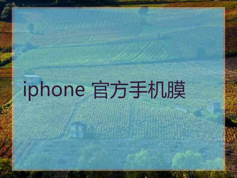 iphone 官方手机膜