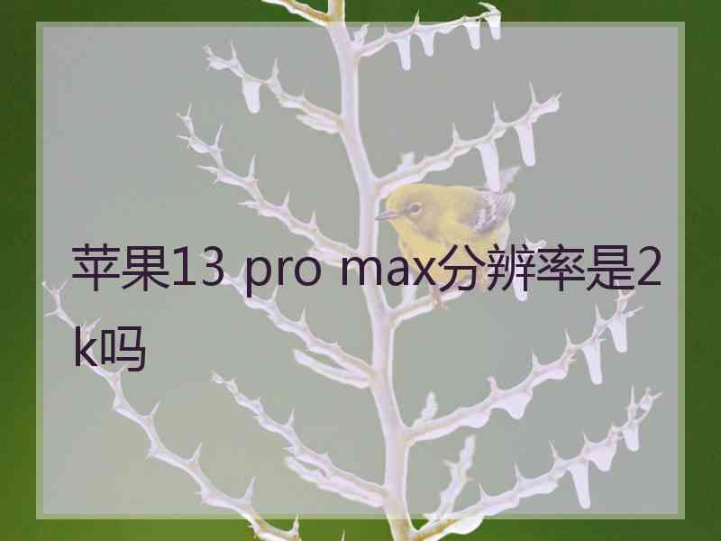 苹果13 pro max分辨率是2k吗