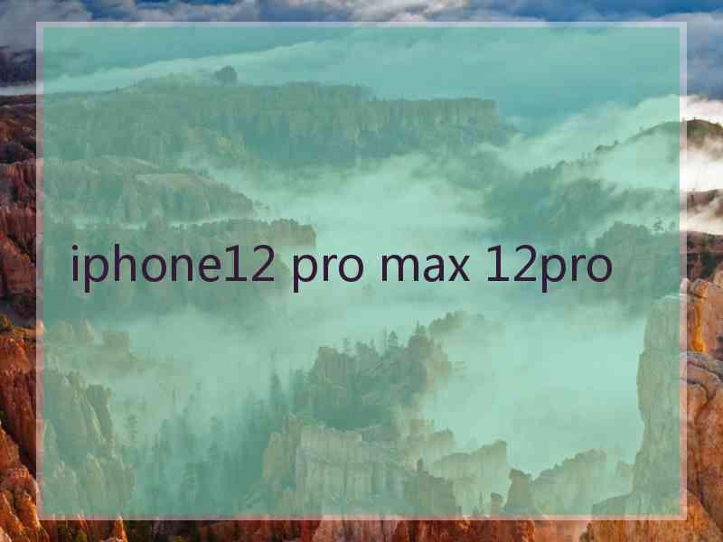 iphone12 pro max 12pro