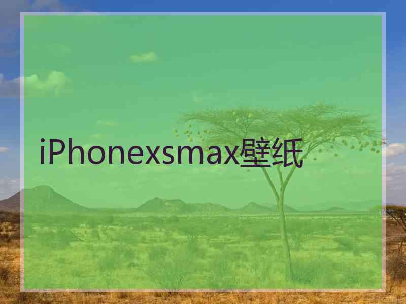 iPhonexsmax壁纸