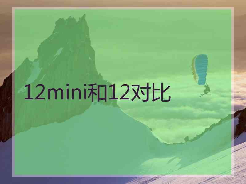 12mini和12对比