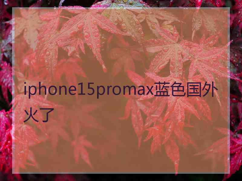 iphone15promax蓝色国外火了