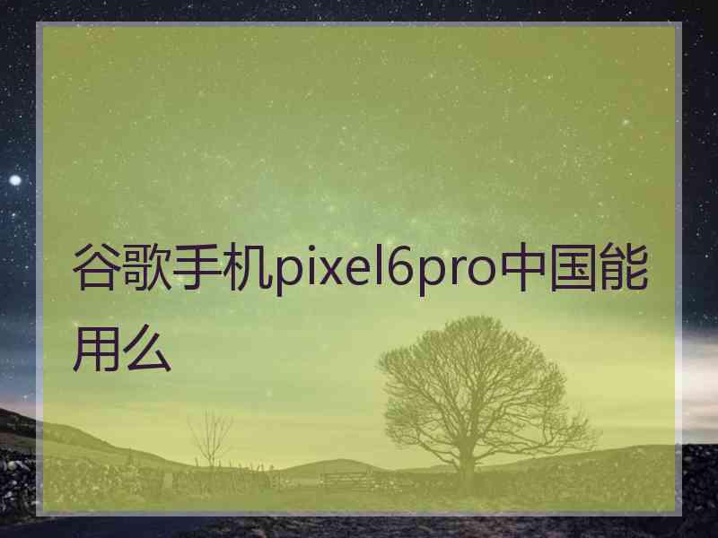 谷歌手机pixel6pro中国能用么