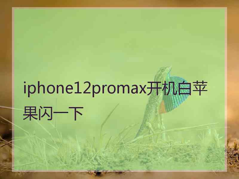 iphone12promax开机白苹果闪一下