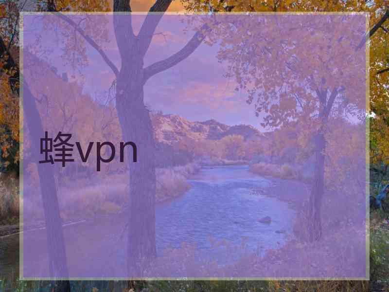 蜂vpn