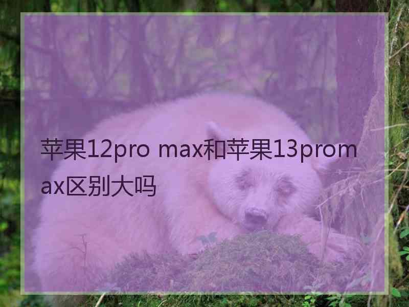 苹果12pro max和苹果13promax区别大吗