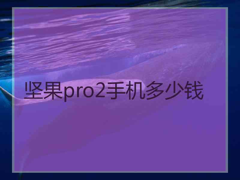 坚果pro2手机多少钱