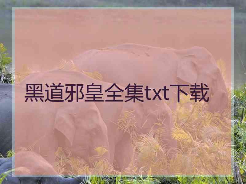 黑道邪皇全集txt下载