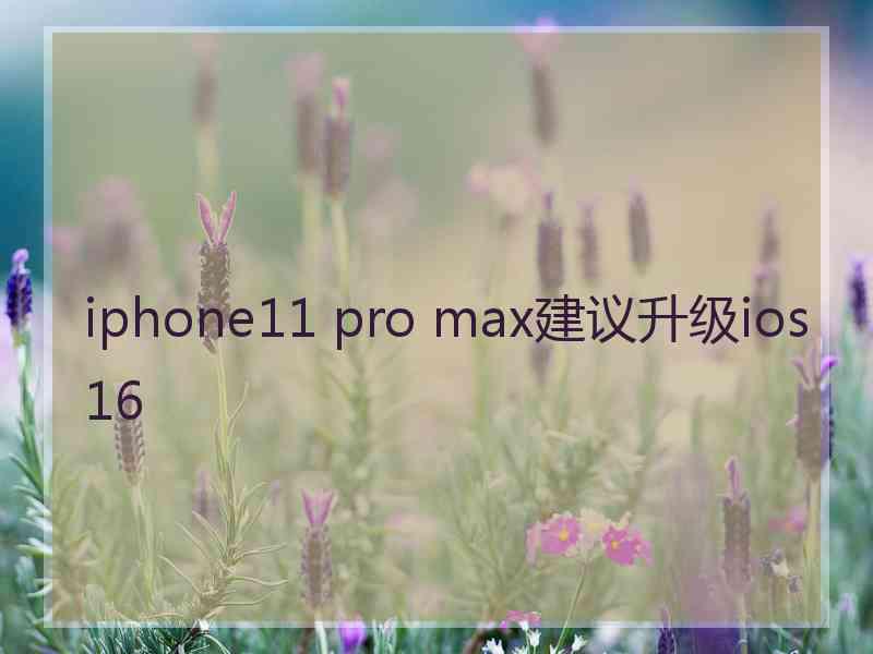 iphone11 pro max建议升级ios16