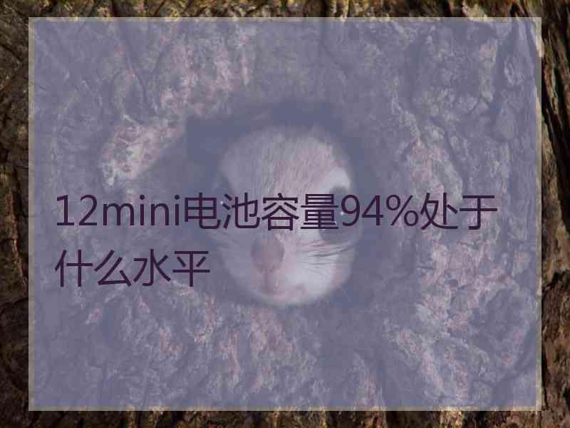 12mini电池容量94%处于什么水平