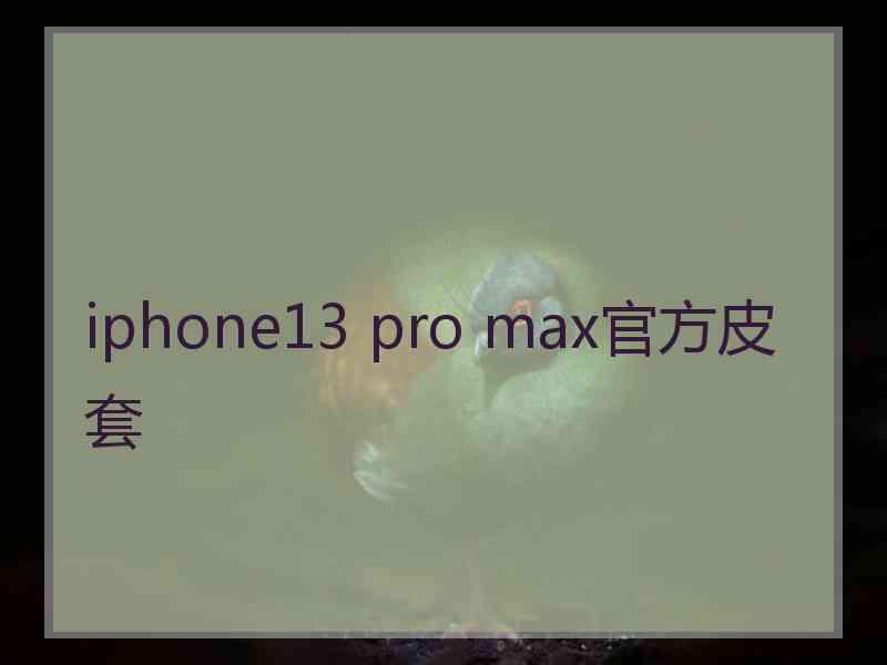 iphone13 pro max官方皮套