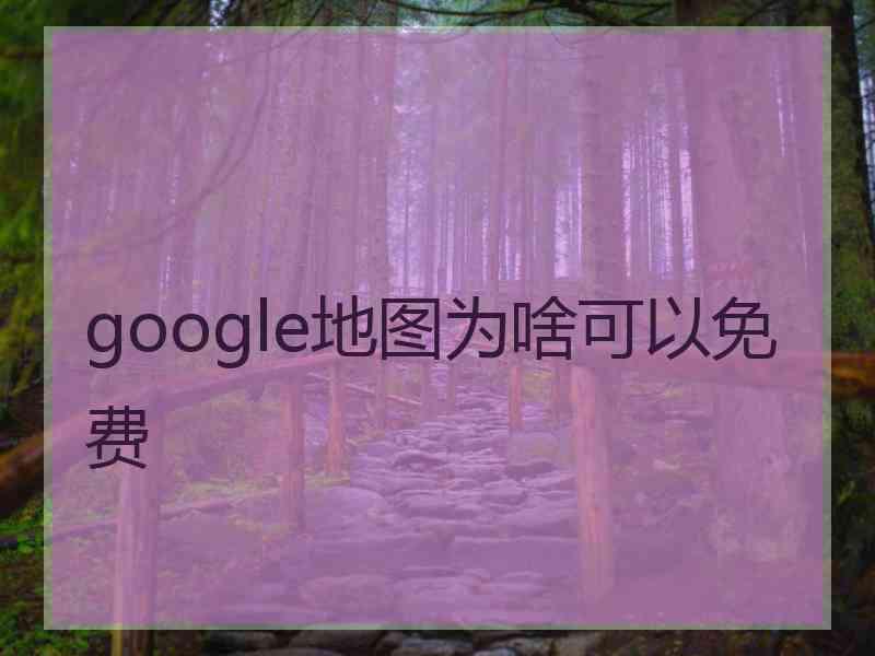 google地图为啥可以免费