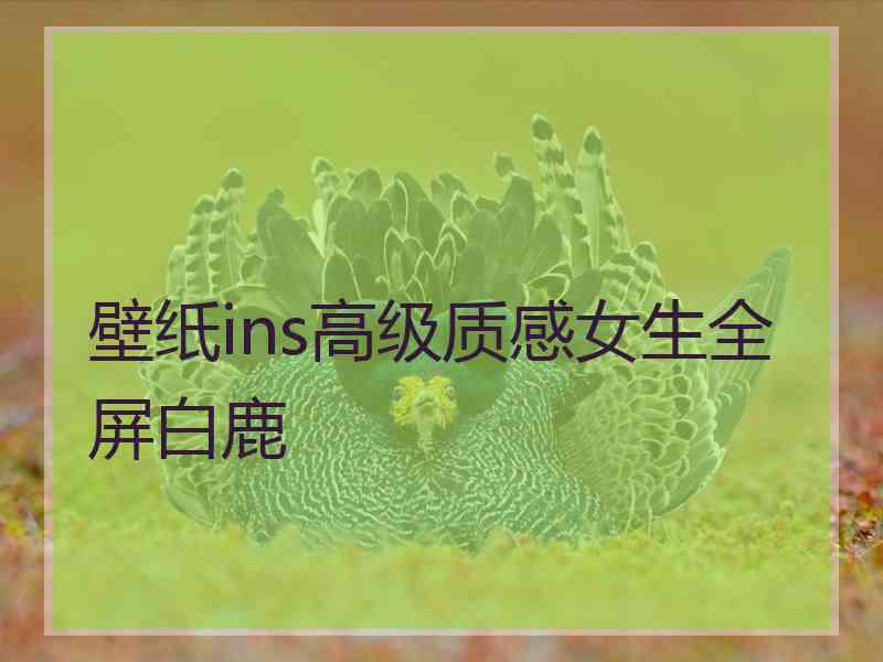 壁纸ins高级质感女生全屏白鹿