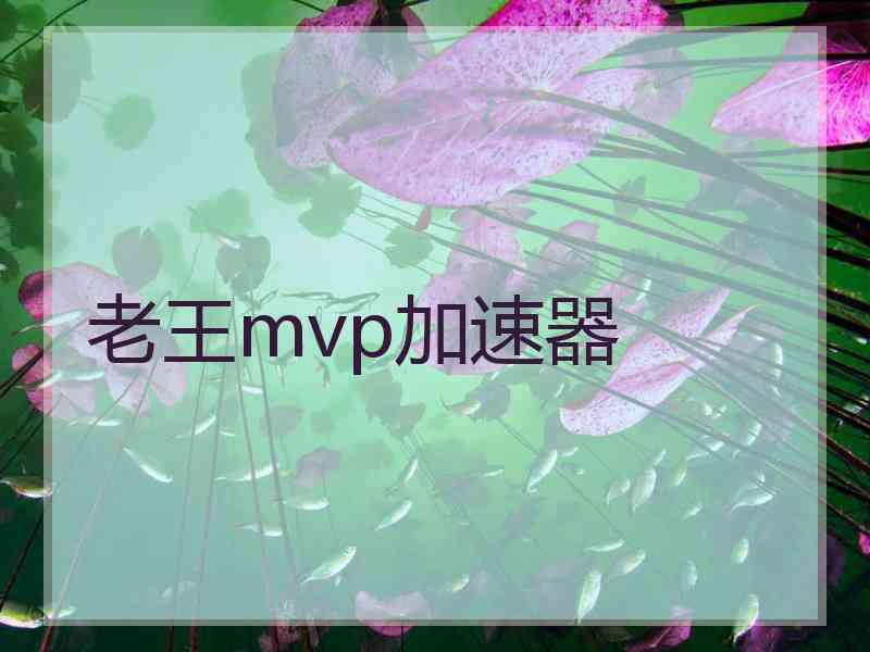 老王mvp加速器