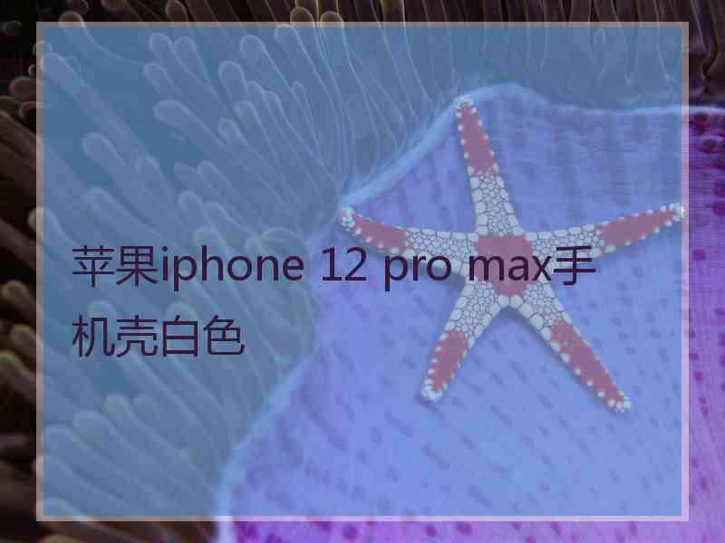 苹果iphone 12 pro max手机壳白色