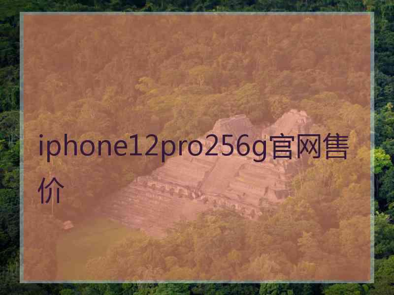 iphone12pro256g官网售价