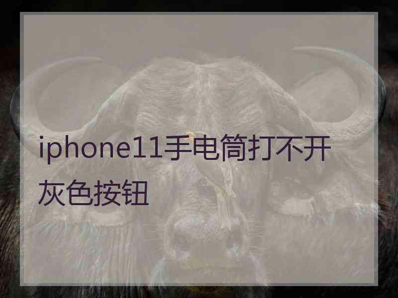 iphone11手电筒打不开灰色按钮