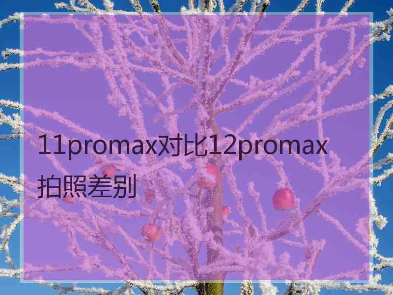 11promax对比12promax拍照差别