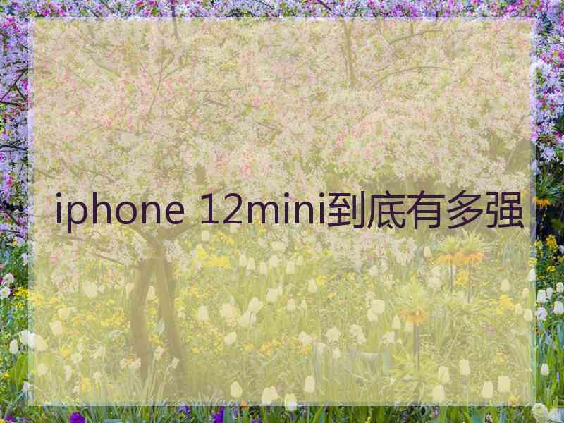 iphone 12mini到底有多强