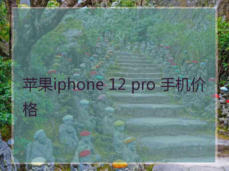 苹果iphone 12 pro 手机价格