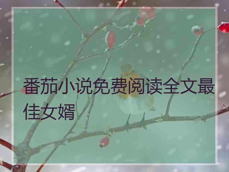 番茄小说免费阅读全文最佳女婿