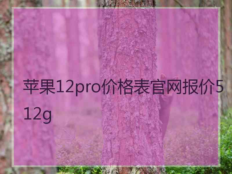 苹果12pro价格表官网报价512g