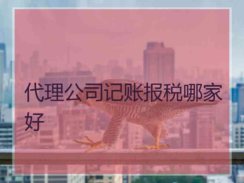 代理公司记账报税哪家好