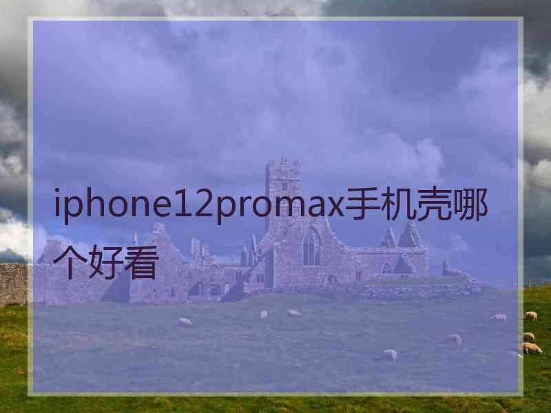 iphone12promax手机壳哪个好看