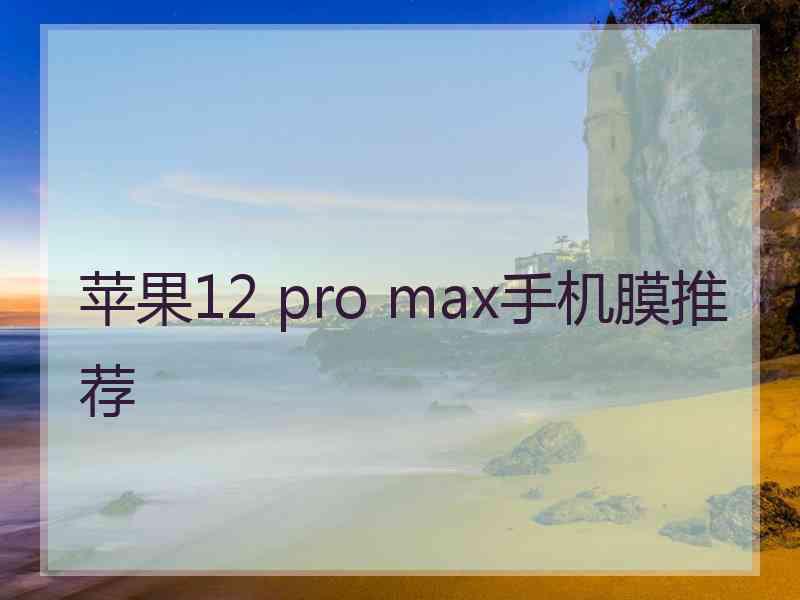 苹果12 pro max手机膜推荐