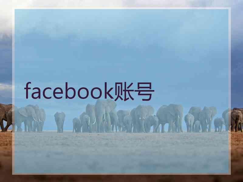 facebook账号