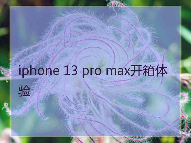 iphone 13 pro max开箱体验