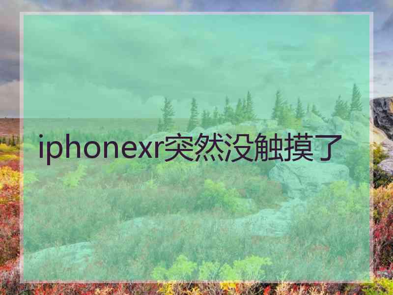 iphonexr突然没触摸了