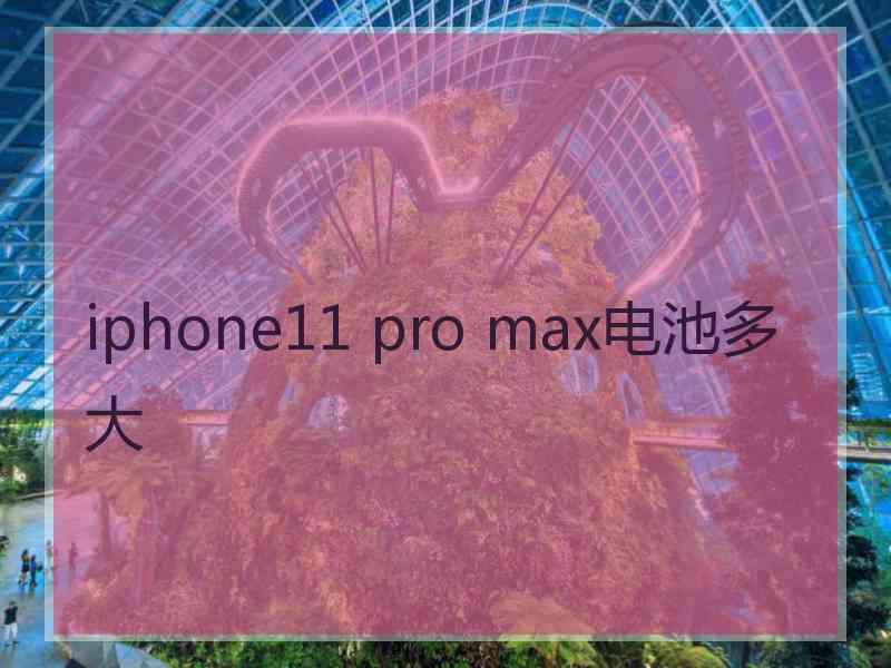 iphone11 pro max电池多大