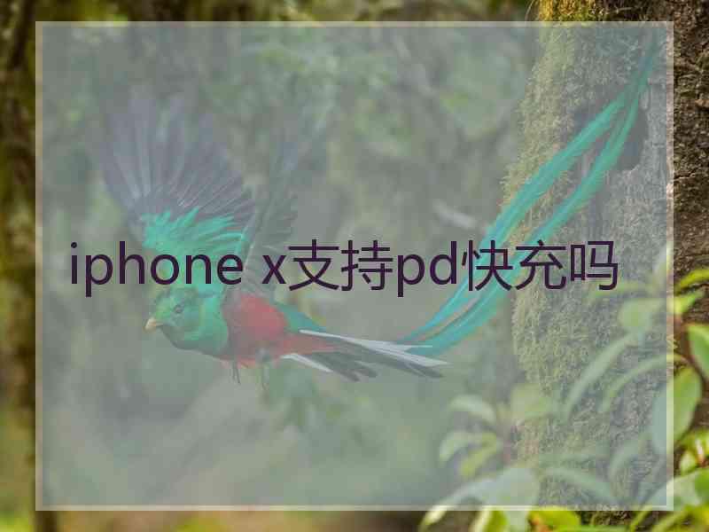 iphone x支持pd快充吗