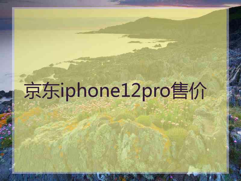 京东iphone12pro售价