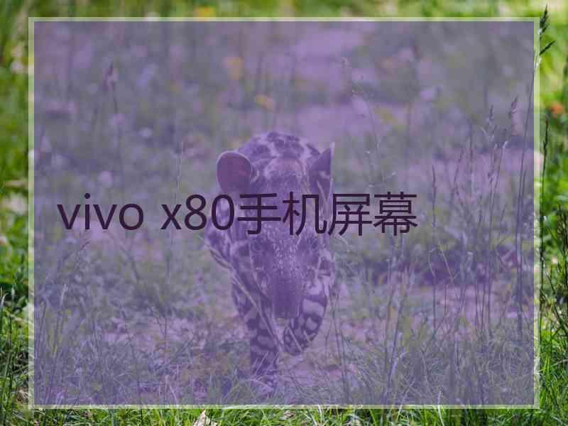 vivo x80手机屏幕