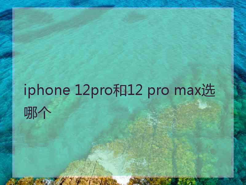 iphone 12pro和12 pro max选哪个