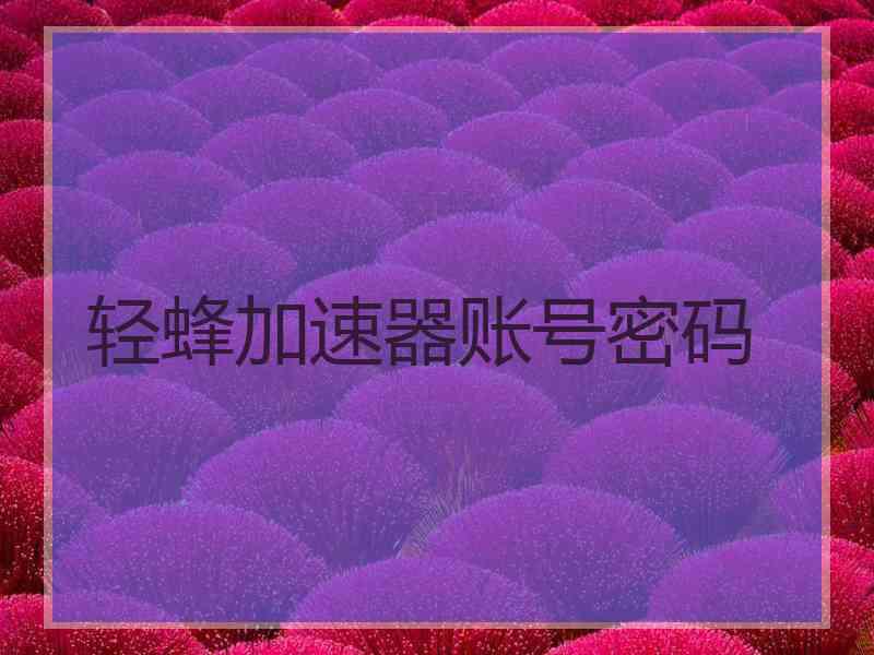 轻蜂加速器账号密码