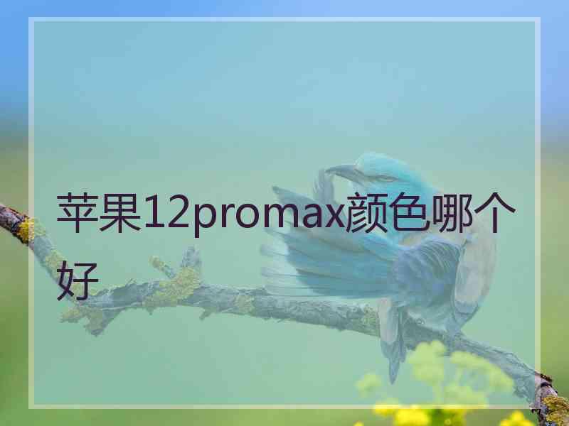 苹果12promax颜色哪个好