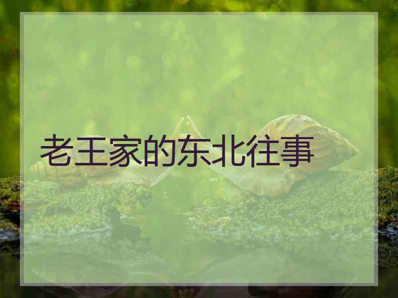 老王家的东北往事