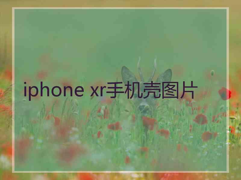 iphone xr手机壳图片