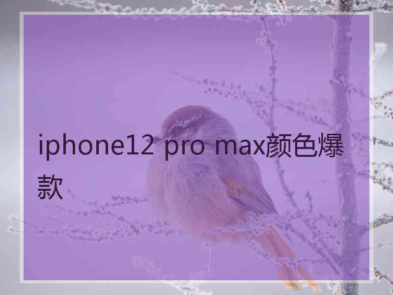 iphone12 pro max颜色爆款