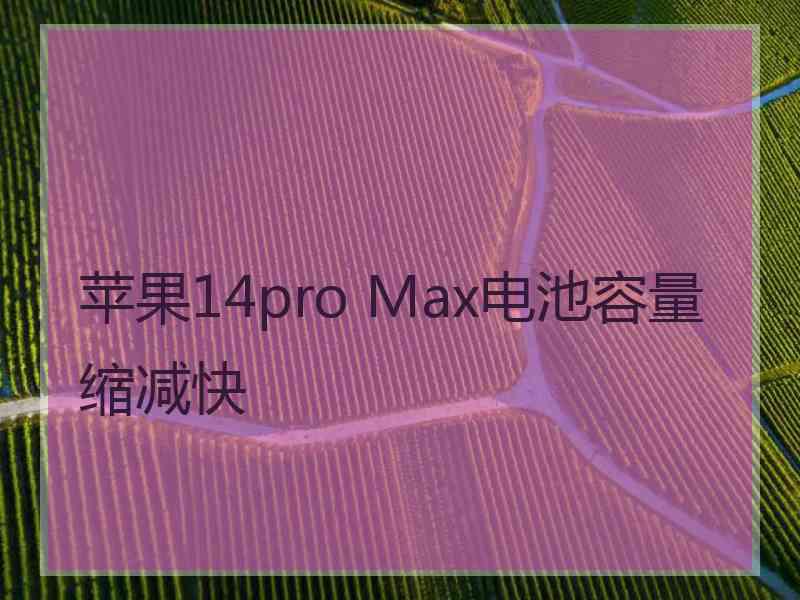 苹果14pro Max电池容量缩减快