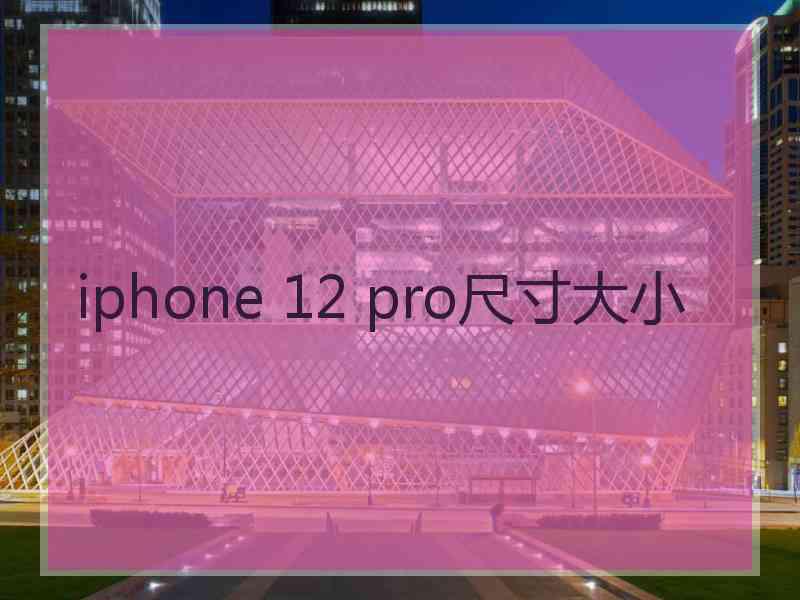 iphone 12 pro尺寸大小